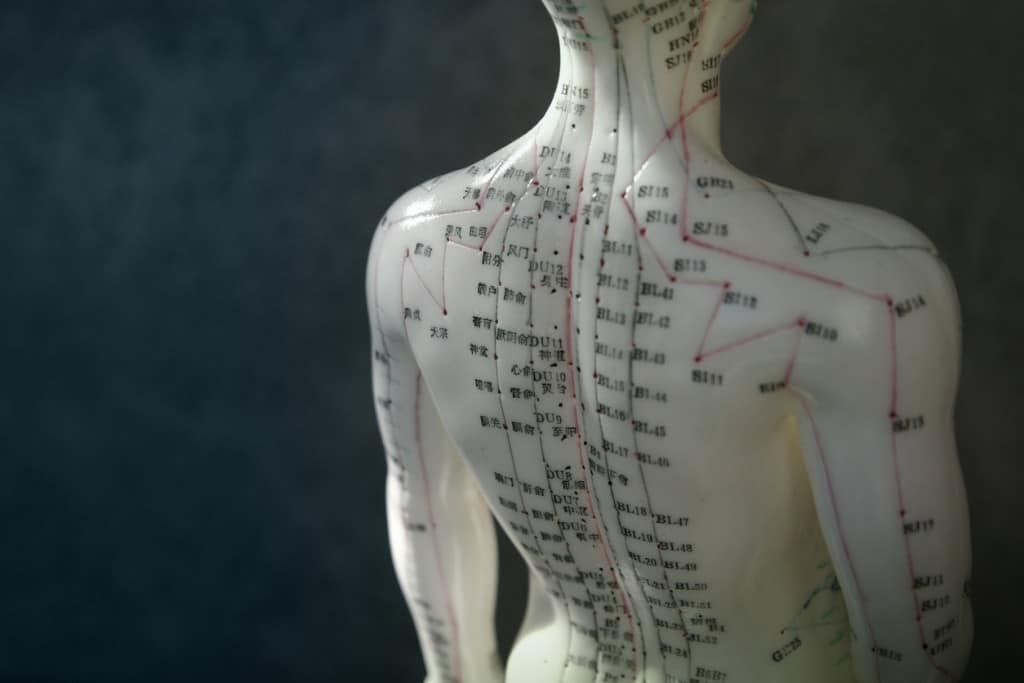 Relation de polarité des méridiens et les 5 éléments | Massage Magnergy