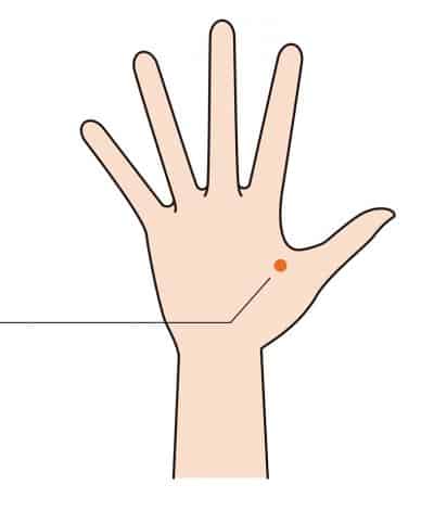 Gros intestin 4 (LI4)