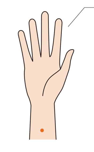 2. Péricarde 6 (PC6) ou porte intérieure