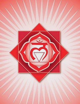 Chakras principaux : Chakra racine : Muladhara Chakras principaux : Chakra racine : Muladhara