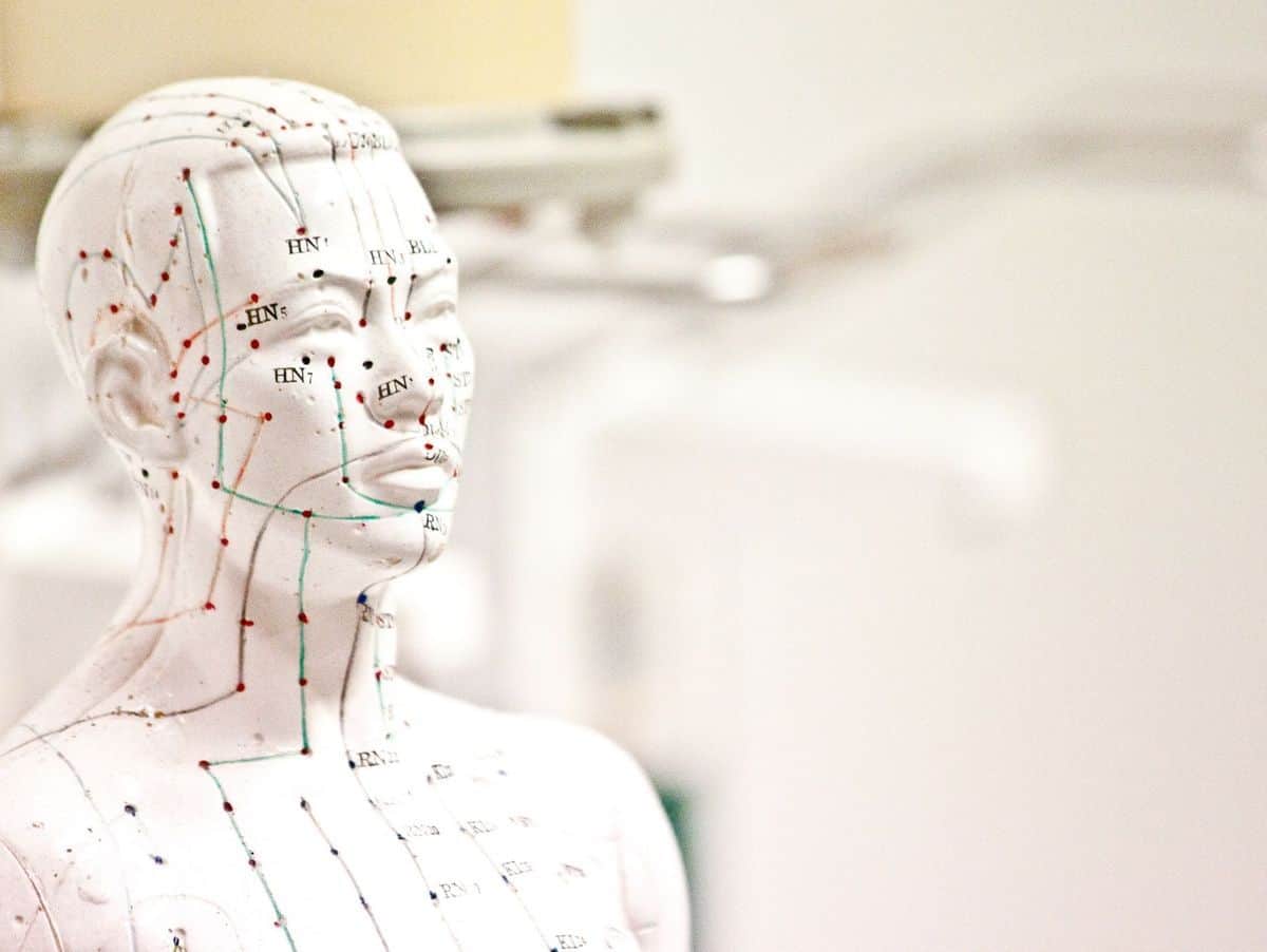 Les méridiens, un réseaux communiquant et intelligent