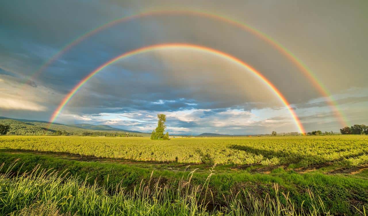 Veuillez accueillir le « régime arc-en-ciel »