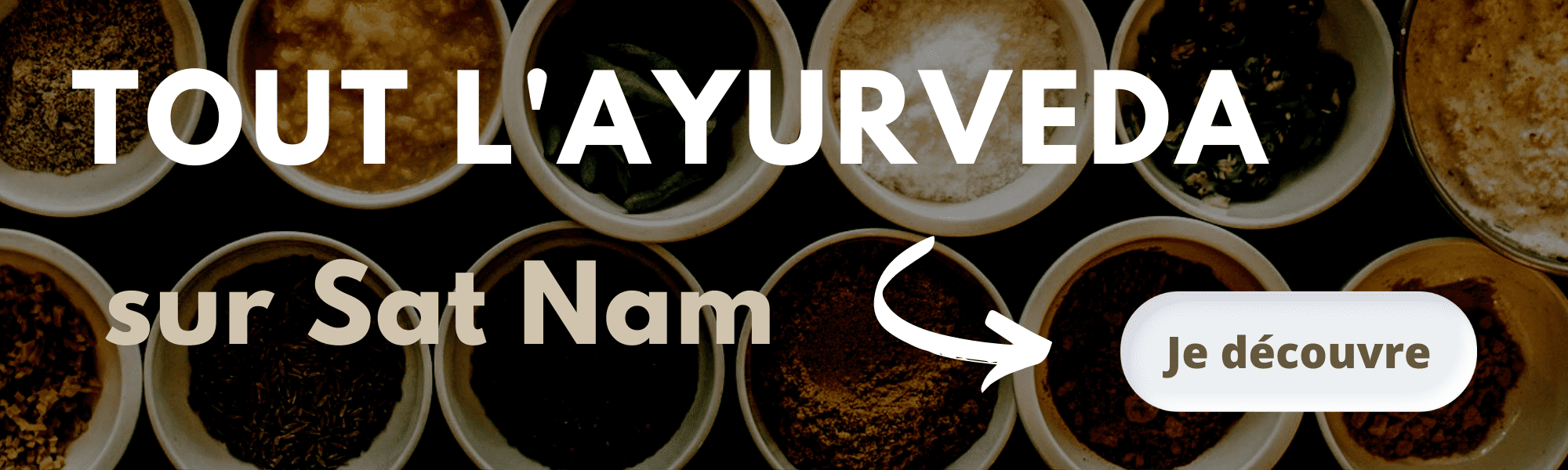 Ayurveda banniere sat nam