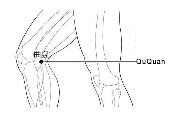 Emplacement du point Qu Quan