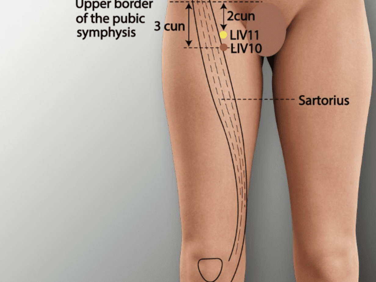 Quelle est la signification de Zu Wu Li?