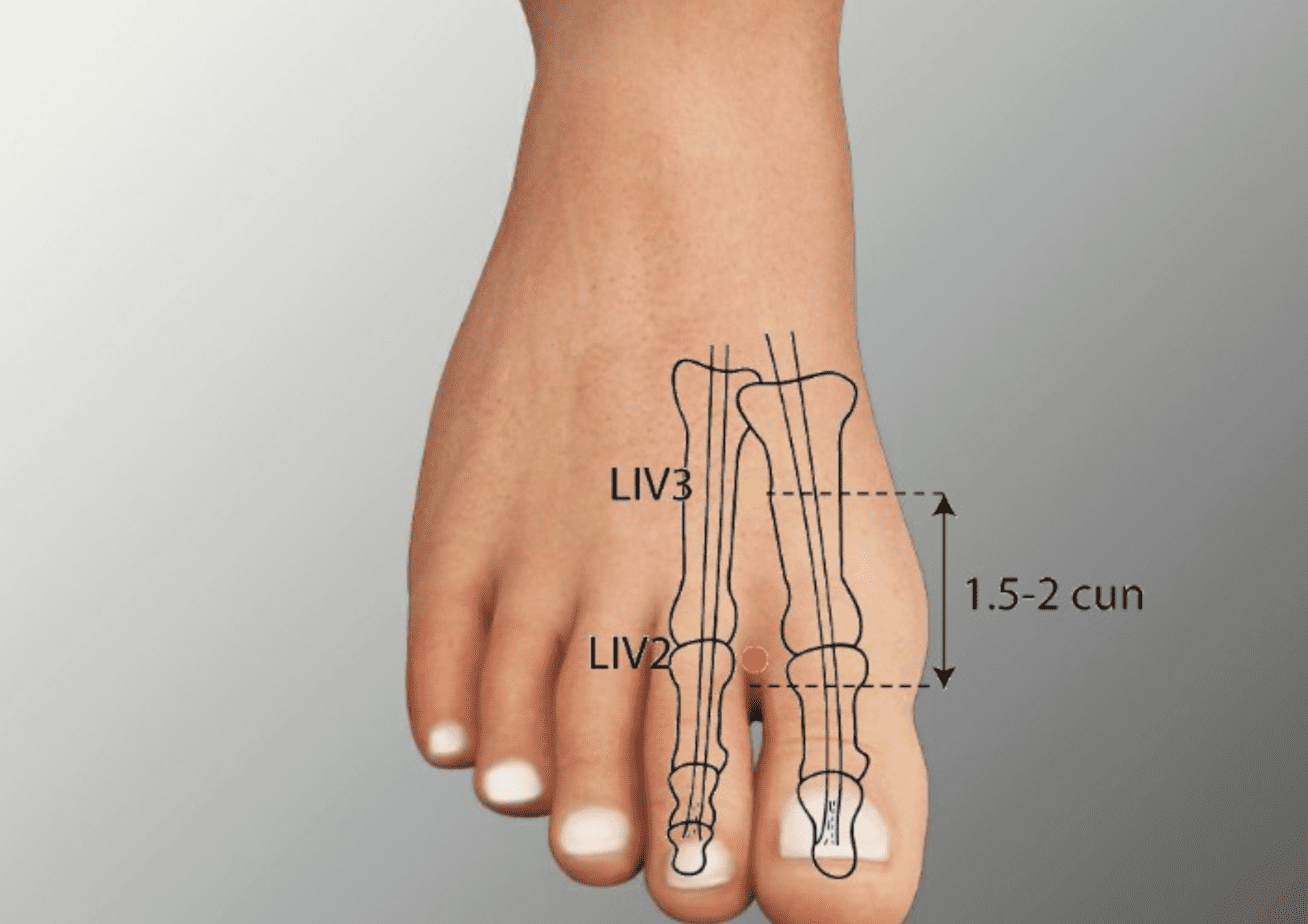 À quoi sert Xing Jian ?