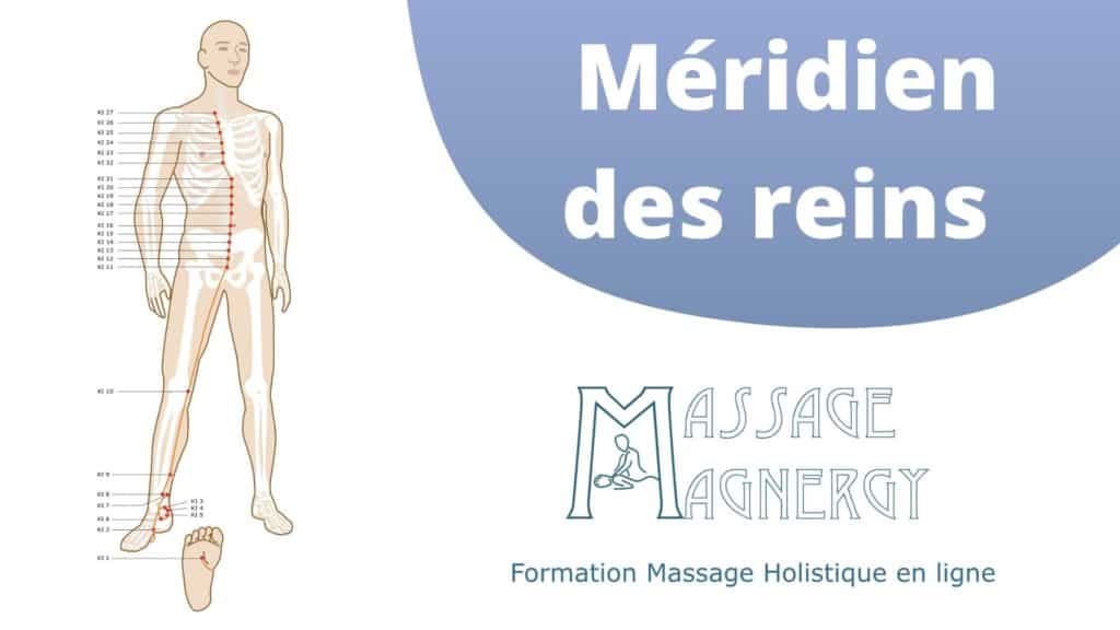 Méridien des reins : points et cartographie - Massage Magnergy
