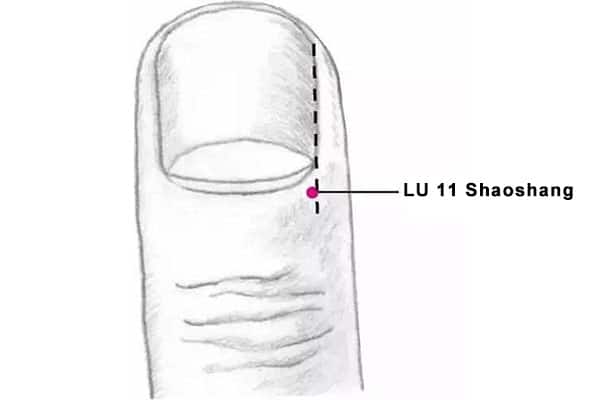 Point Shao Shang (11P)