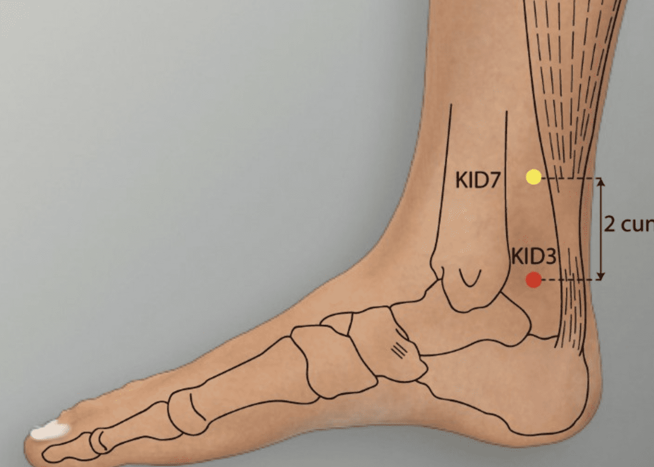 À quoi sert Tai Xi (3R) ?