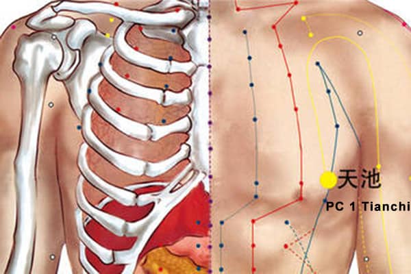 Emplacement du point Tian Chi  1PC