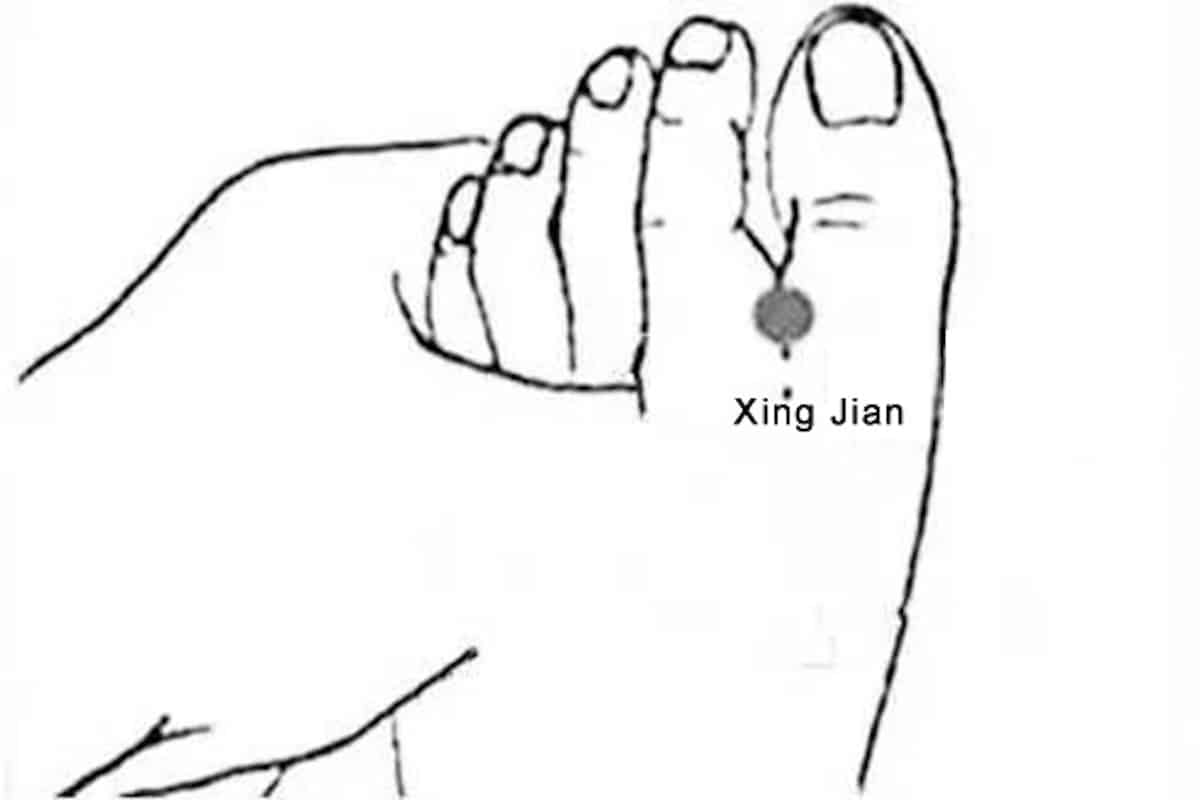 Emplacement du point d'acupuncture Xing Jian