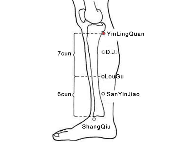 Point Yin Ling Quan (9Rt)