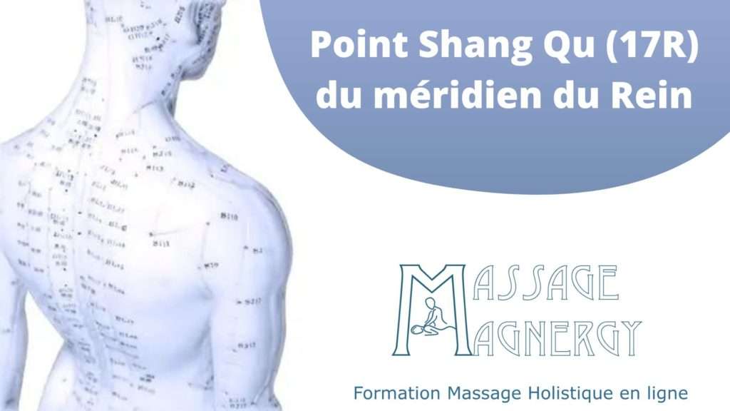 Point Shang Qu (17R) du méridien du Rein