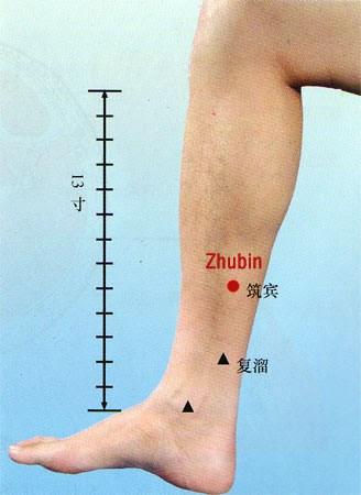Emplacement du point d'acupuncture de Zhu bin
