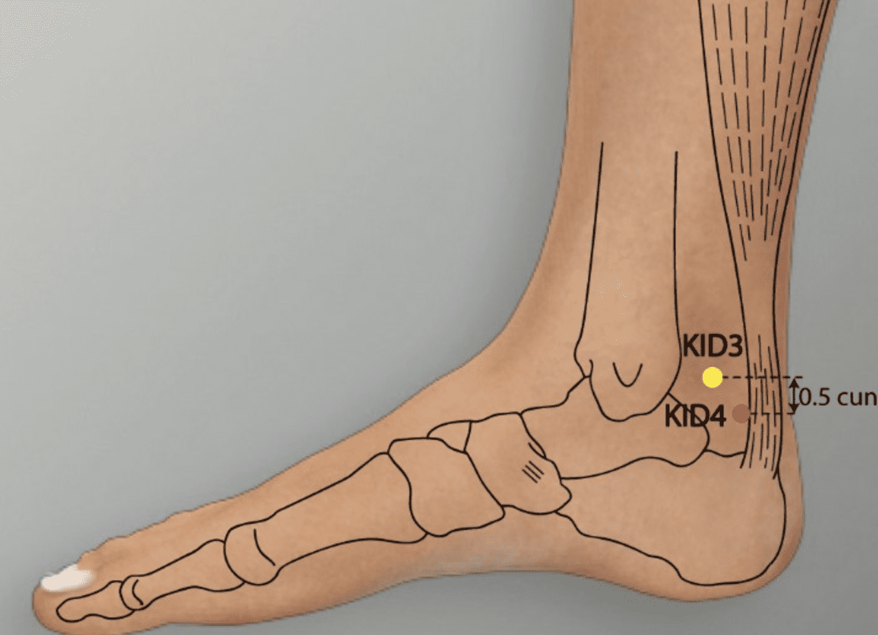 Avantages et thérapie des points d'acupuncture Da zhong