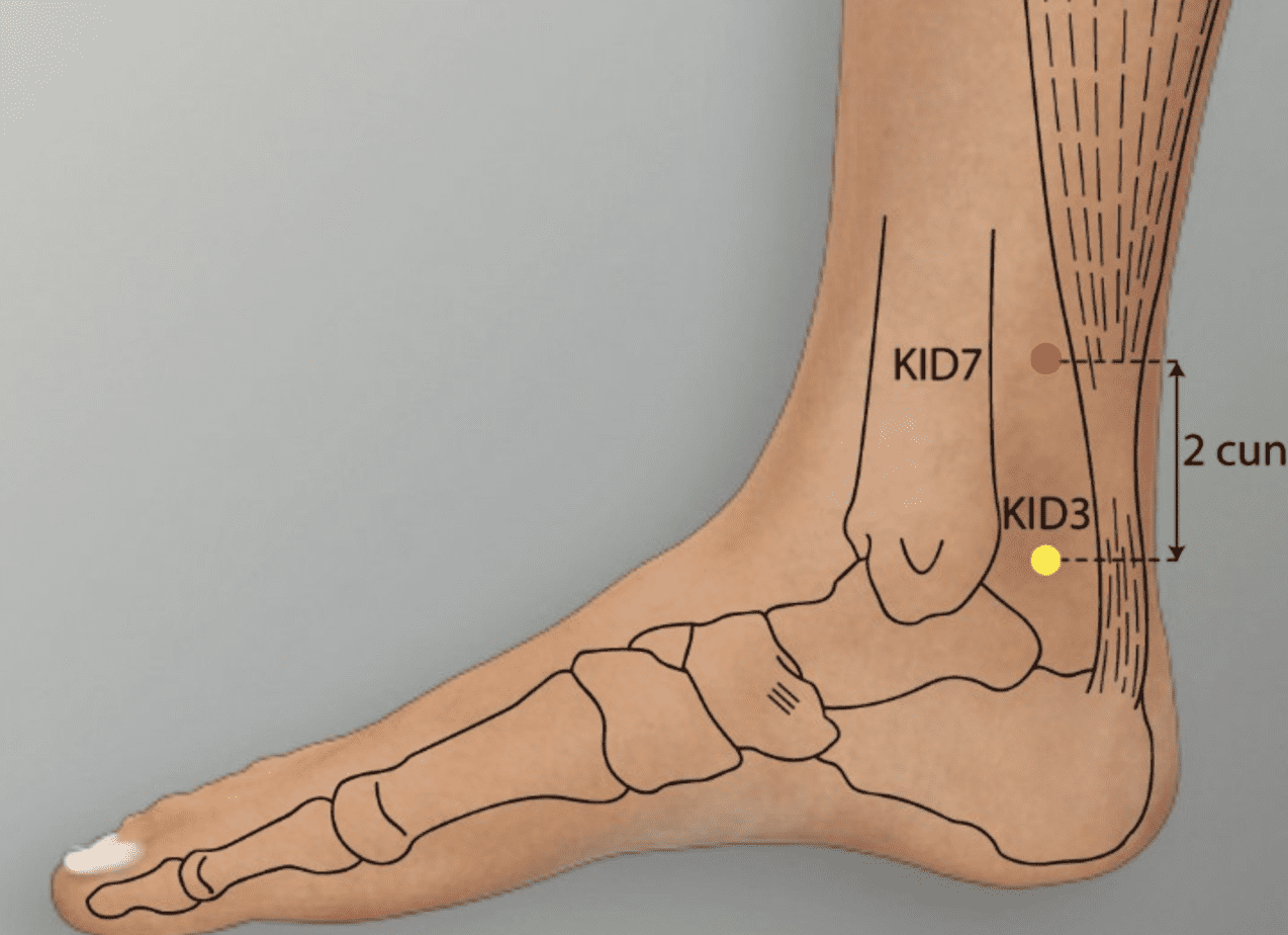 FULIU Kidney Meridian Acupuncture Point