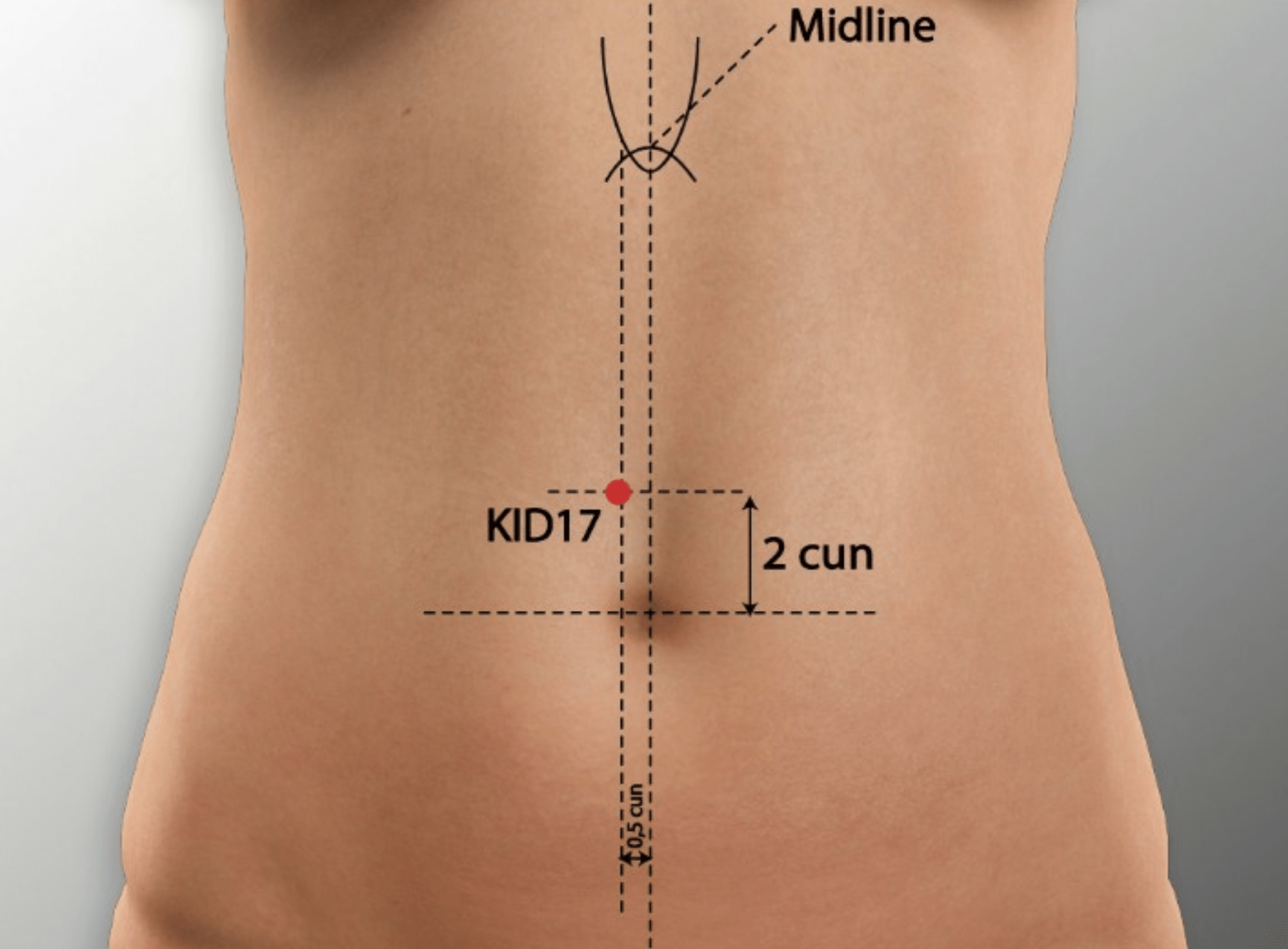 Quelle est la signification de Shang Qu?