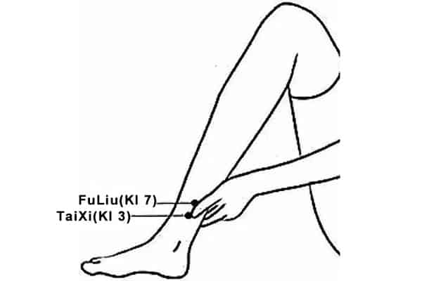 Emplacement du point Fu Liu (7R)