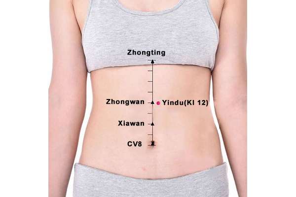 Emplacement du point Yin Du (19R)