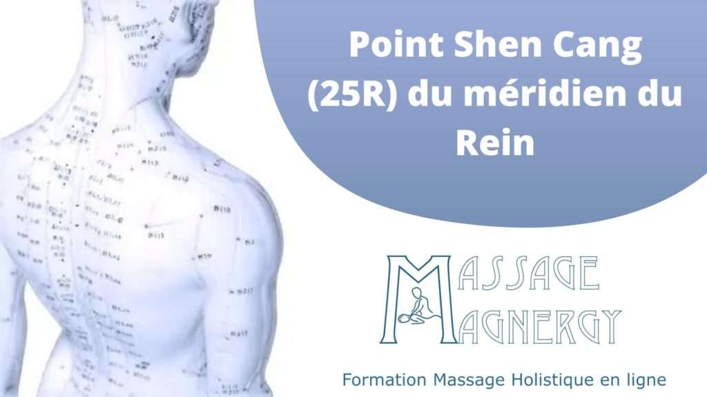 Point Shen Cang (25R) du méridien du Rein