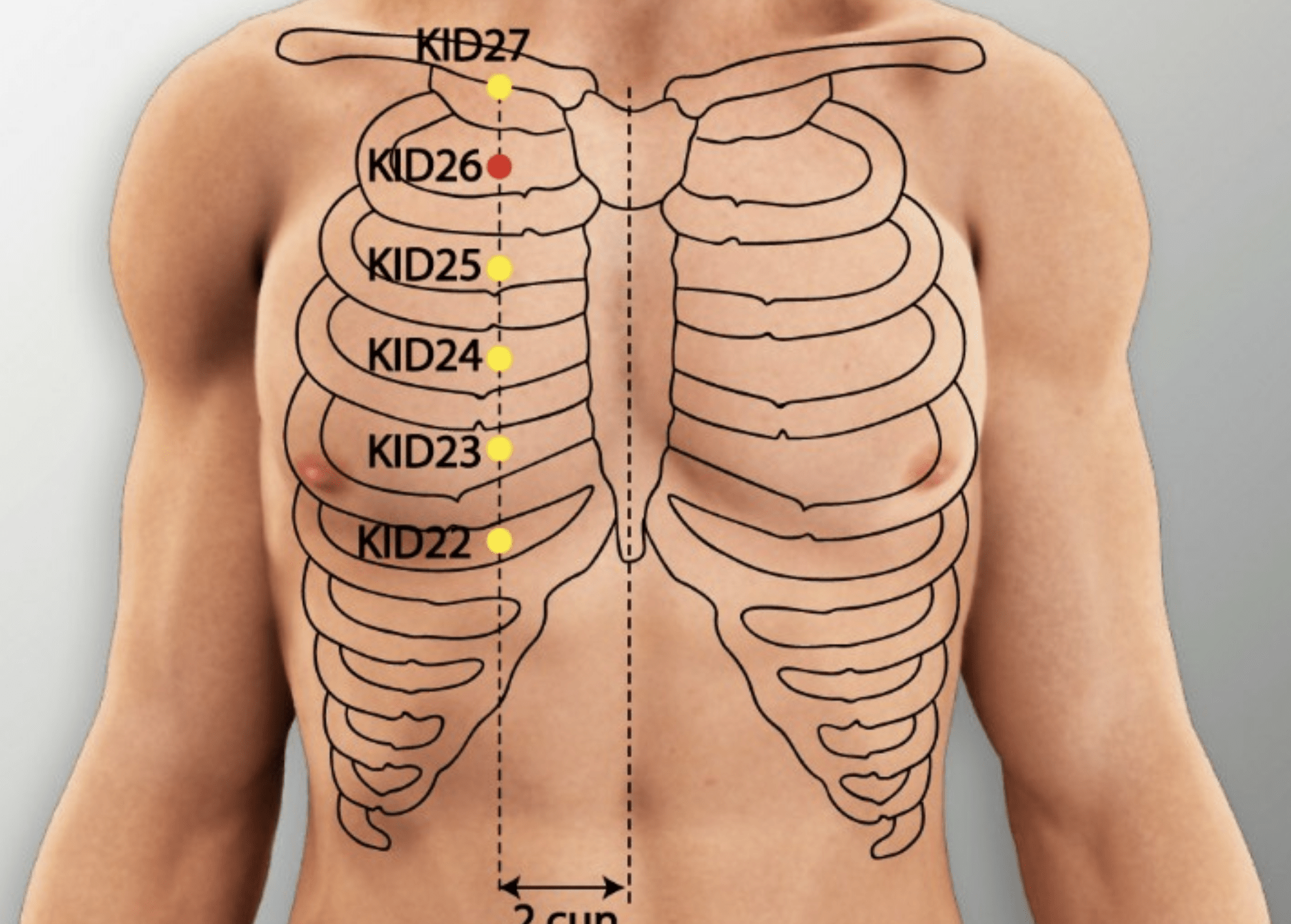 À quoi sert le point d'acupuncture Yuzhong