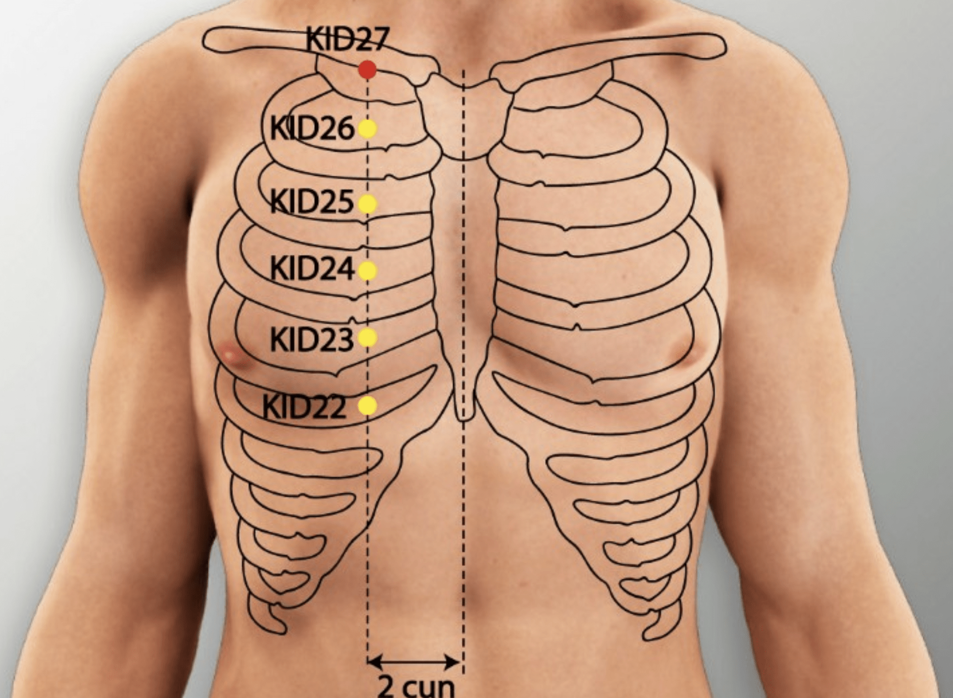 À quoi sert le point d'acupuncture Shu fu ?