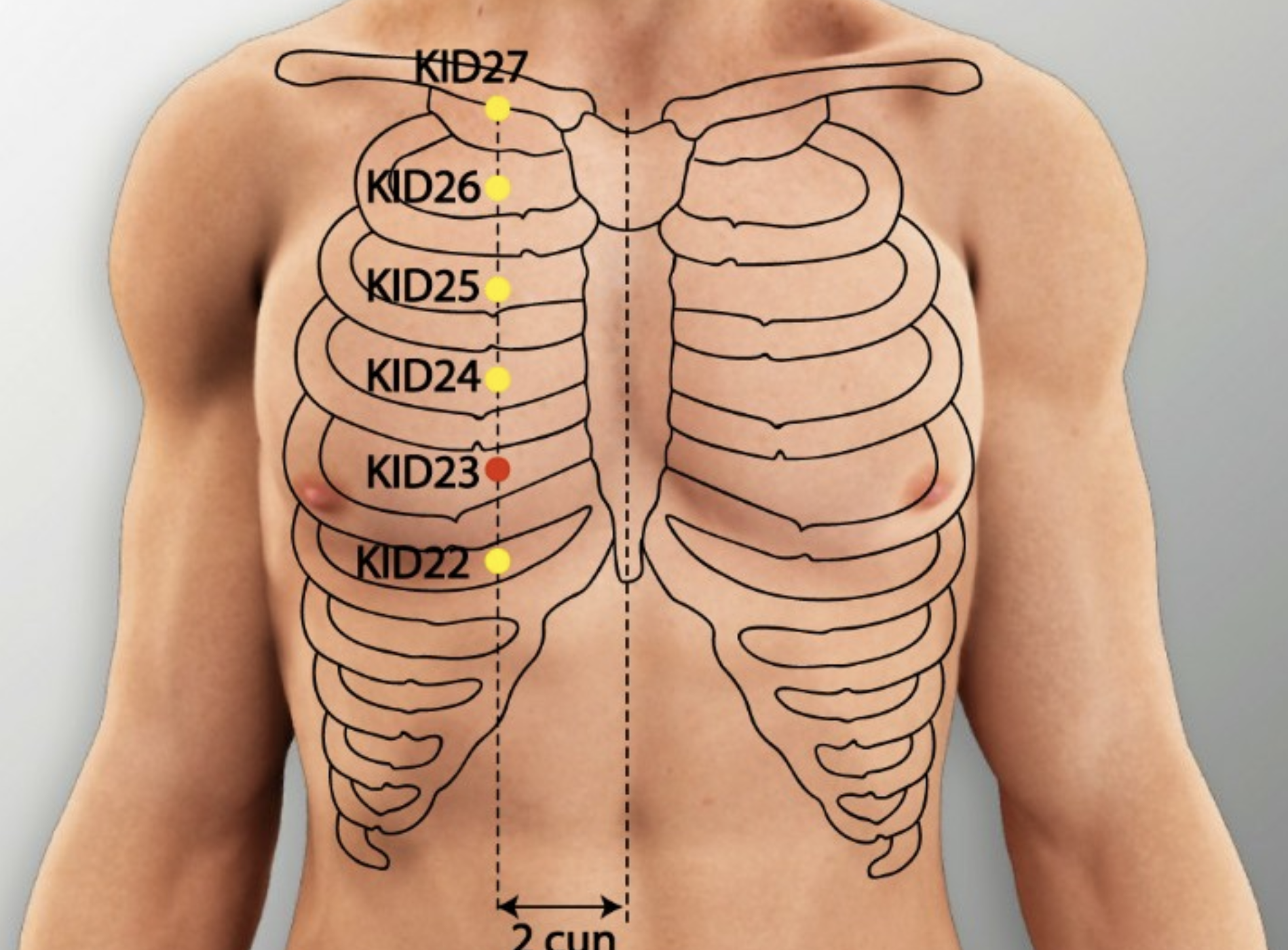 À quoi sert le point Shenfeng ?