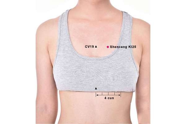 Emplacement de ShenCang (25R)