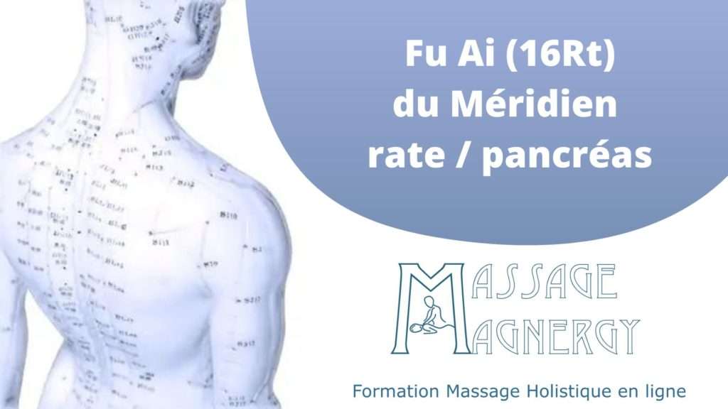Point Fu Ai (16Rt) du Méridien rate / pancréas