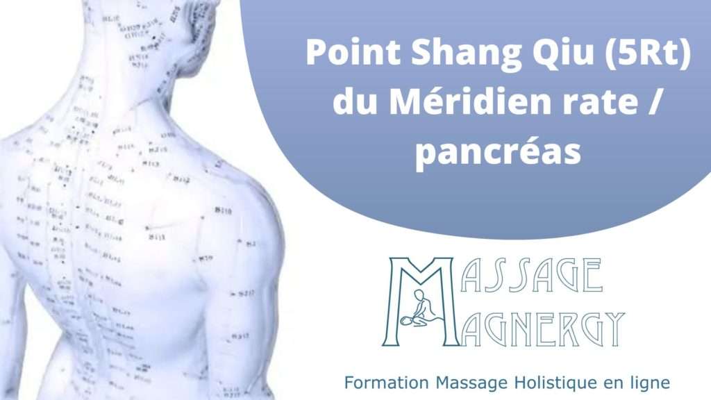 Point Shang Qiu (5Rt) du Méridien rate / pancréas