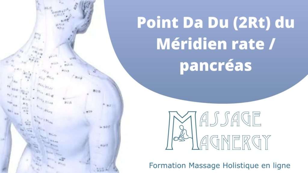 Point Da Du (2Rt) du Méridien rate / pancréas