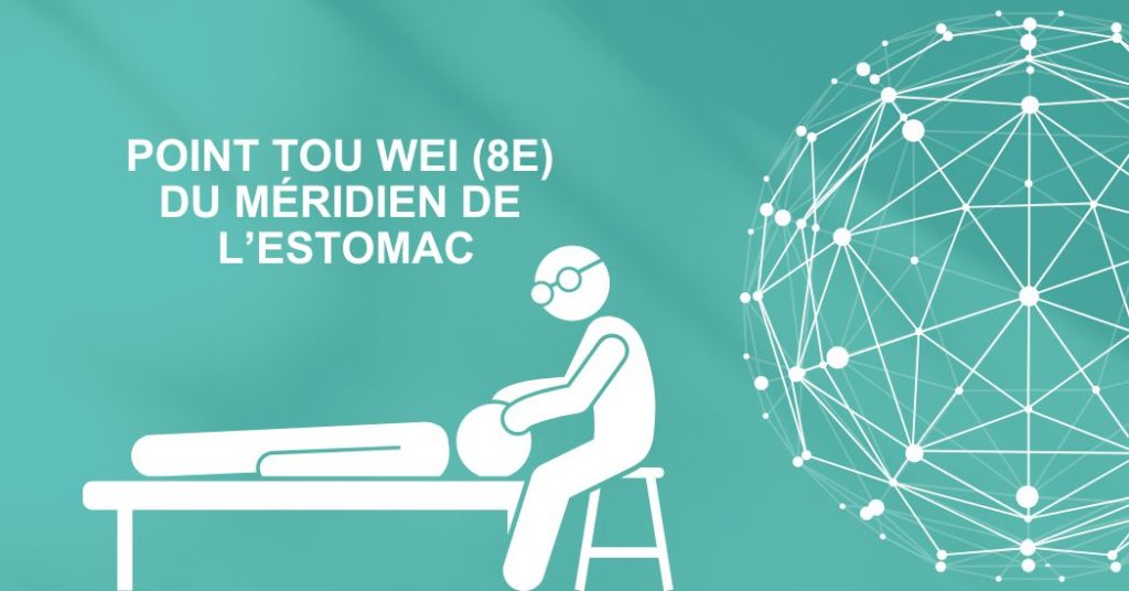 Point Tou Wei (8E) du méridien de l’estomac