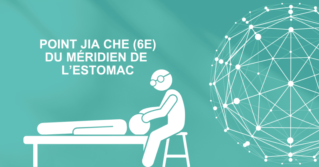 Point Jia Che (6E) du méridien de l’estomac