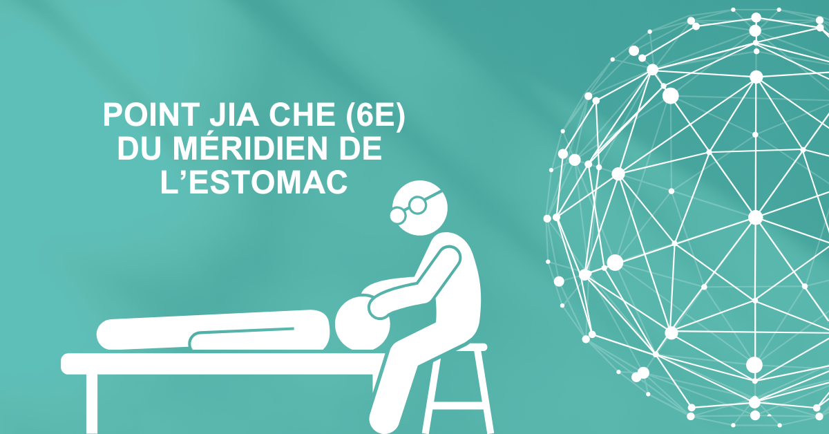 Point Jia Che (6E) du méridien de l’estomac