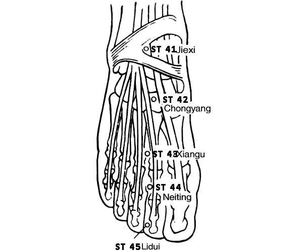 Point d'acupuncture ST 42 (Chongyang)