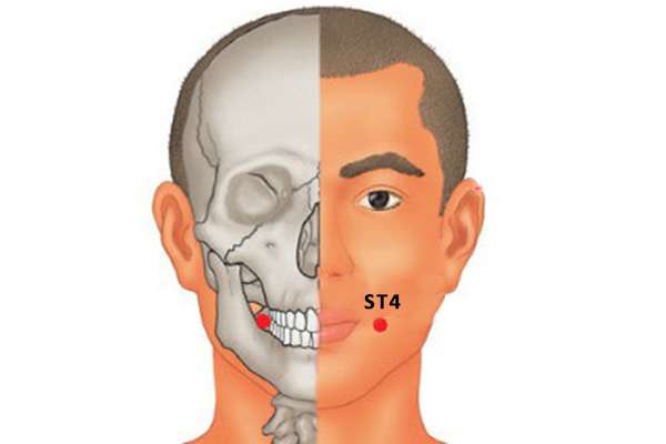 Point d'acupuncture ST 4 (Dicang)