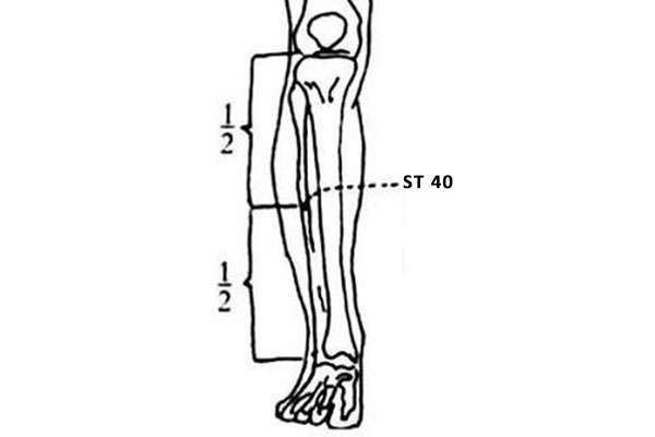 Point d'acupuncture ST 40 (Fenglong)