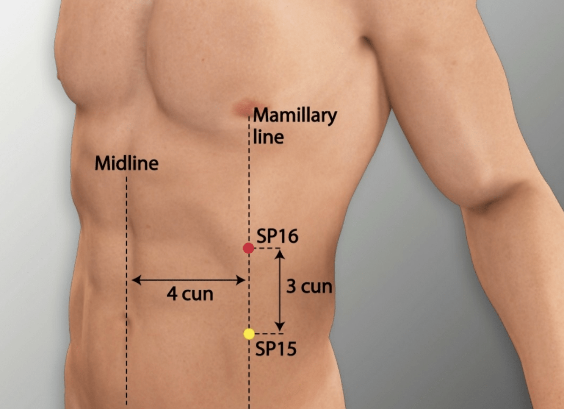 Emplacement du point Fu Ai (16Rt)