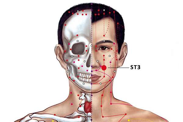 Point d'acupuncture ST 3 (Juliao)