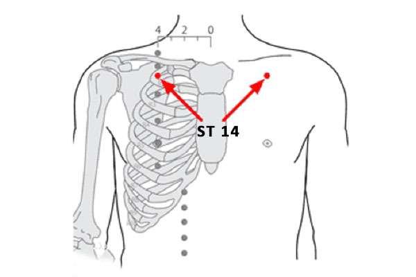 Point d'acupuncture ST 14 (Kufang)