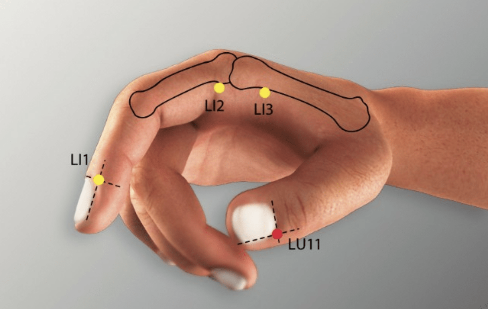 Emplacement du point Shao Shang (11P)