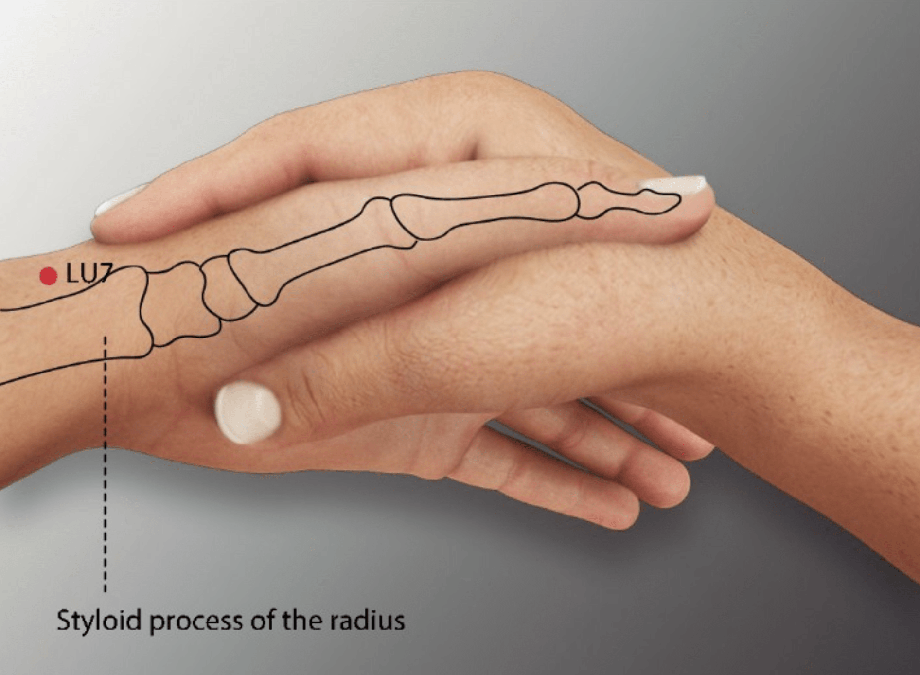 Emplacement du point Lie Que (7P)