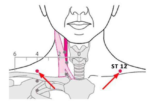 Point d'acupuncture ST 12 (Quepen)