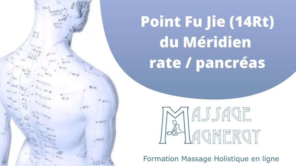 Point Fu Jie (14Rt) du Méridien rate / pancréas