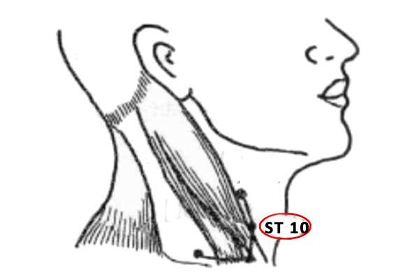 Point d'acupuncture ST 10 (Shuitu)