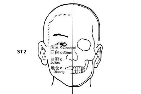 ST 2 Acupuncture Point(Sibai) 