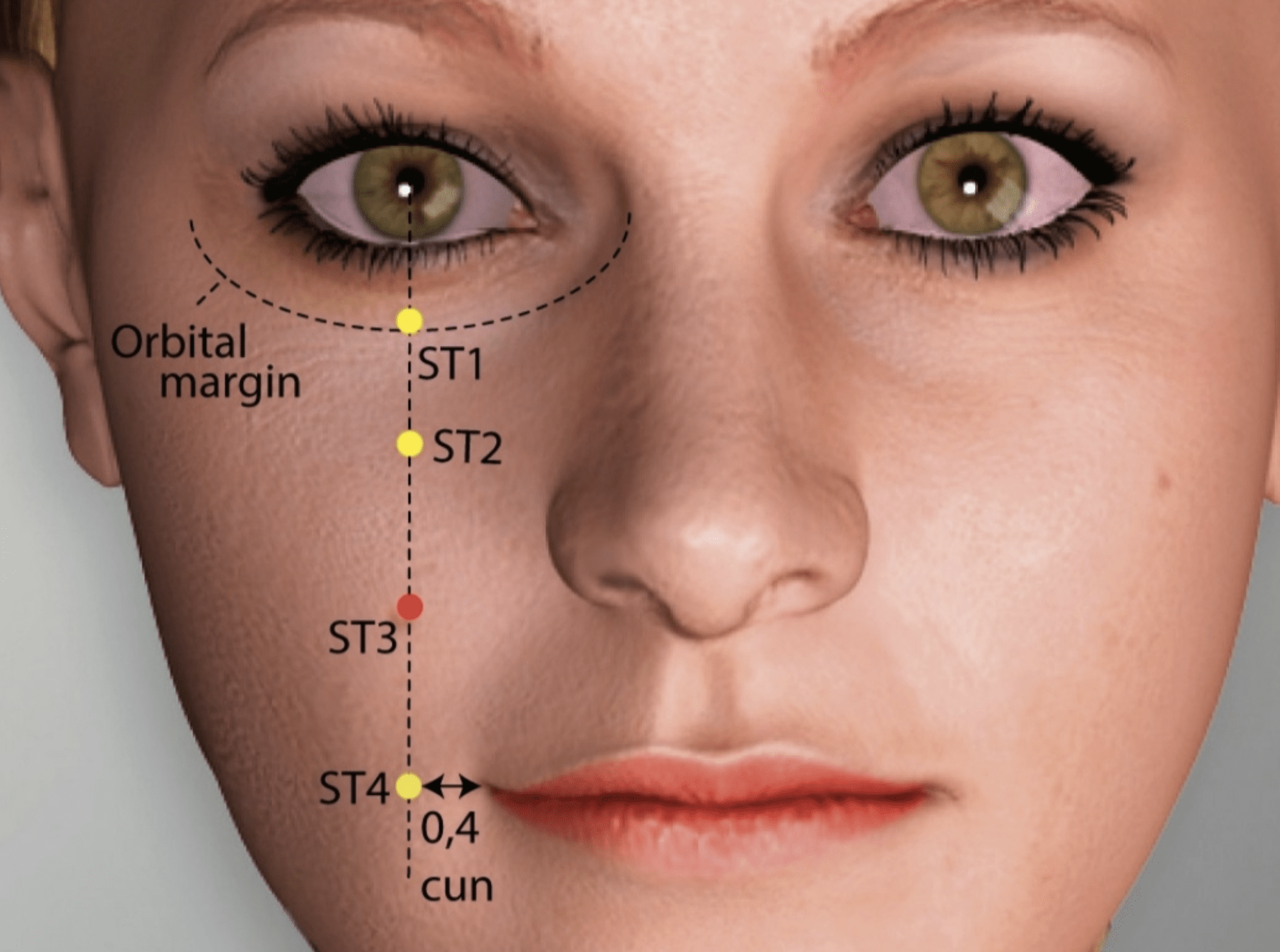 Emplacement du point d'acupuncture Ju Liao (3E)