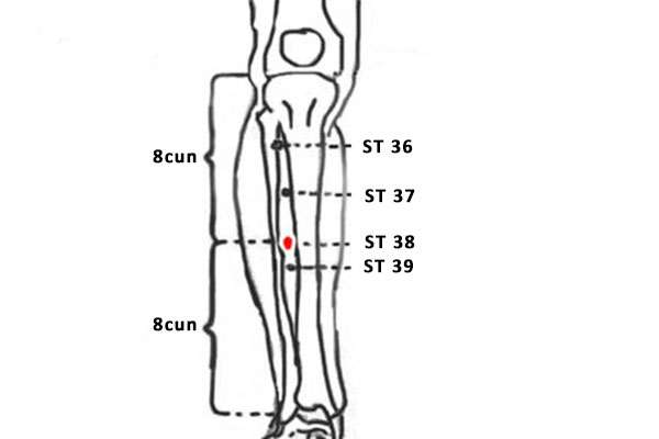 Point d'acupuncture ST 38 (Tiaokou)