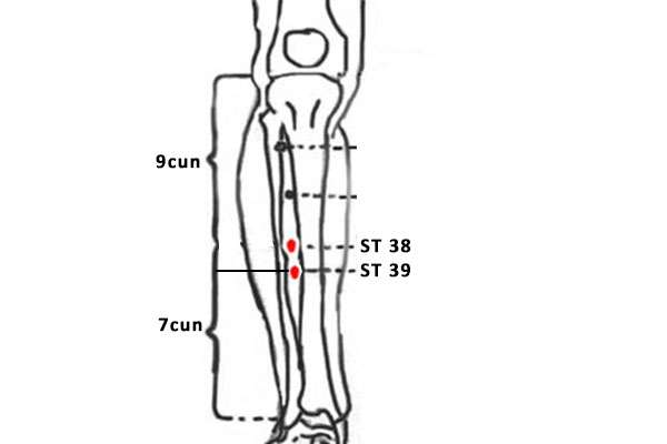 Point d'acupuncture ST 39 (XiaJuxu)