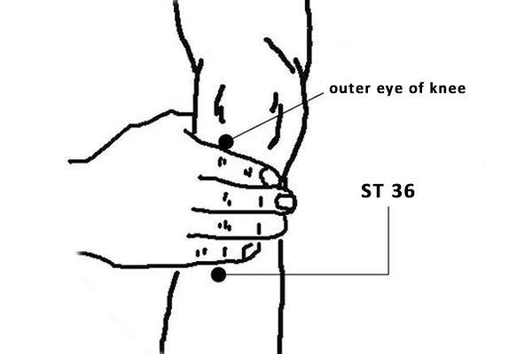 Point d'acupuncture ST 36 (Zusanli)